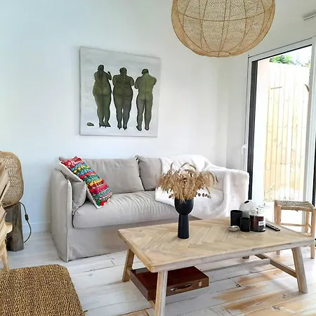 Maison Moderne 3ch, Proche Cote Sauvage, Wi-fi, Jardin Calme Et Bbq - - Fr-1-392-230 *